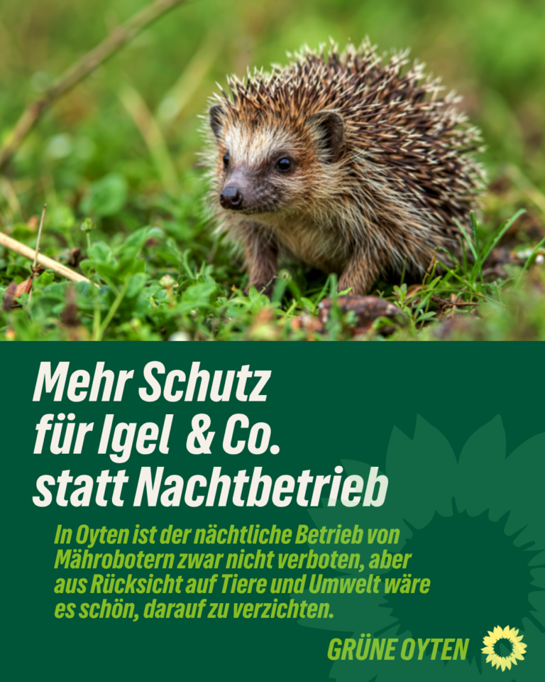 Nachtbetrieb für Mähroboter verbieten